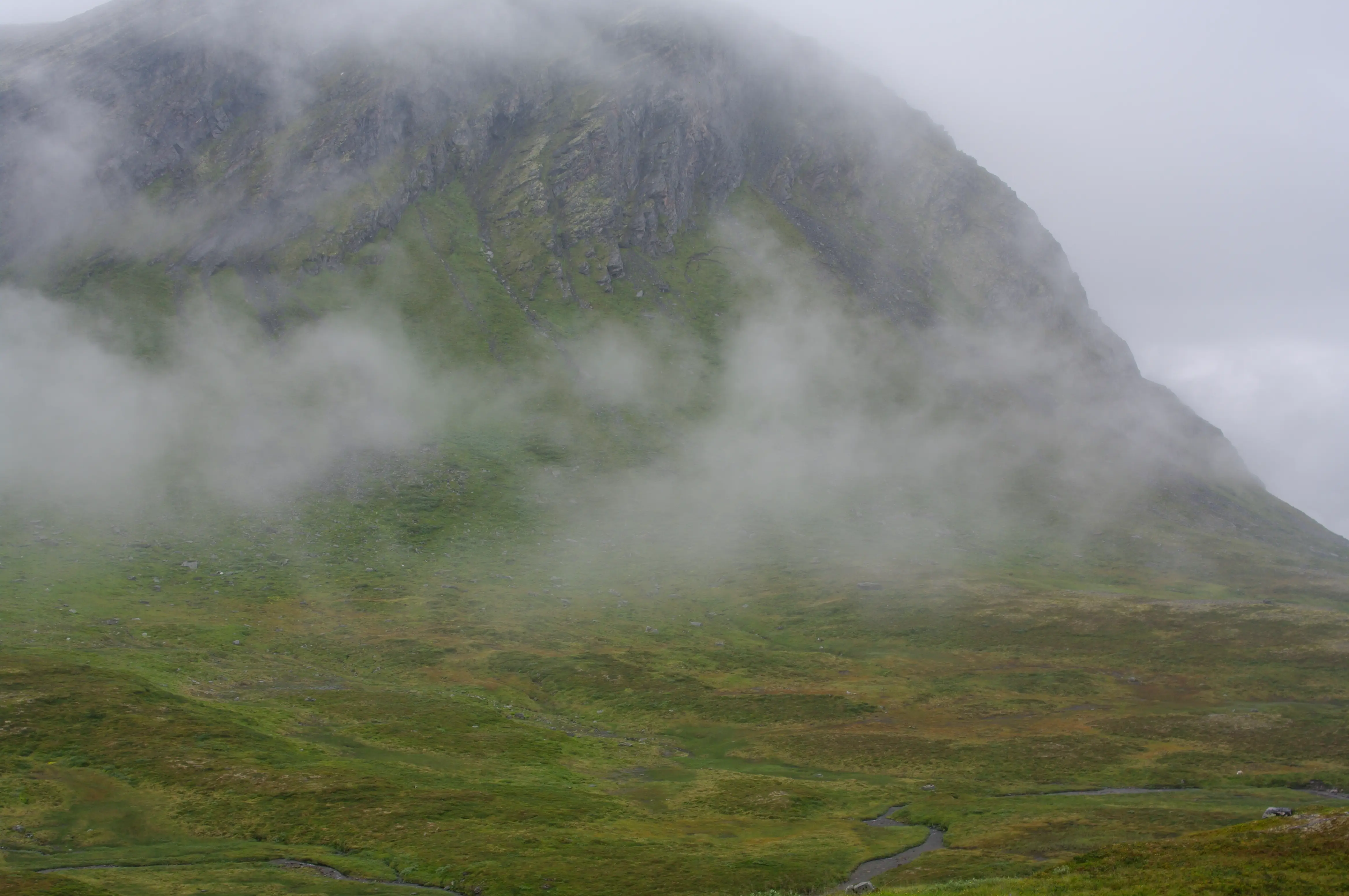 a misty mountain